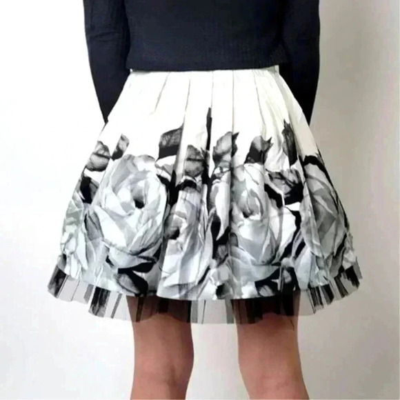 F21 Pleated Tulle Skirt - S - Picture 2 of 6